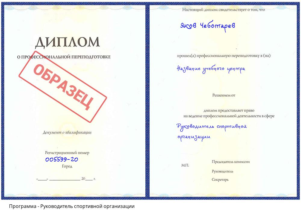 Руководитель спортивной организации Климовск